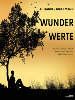 cover image of WunderWerte